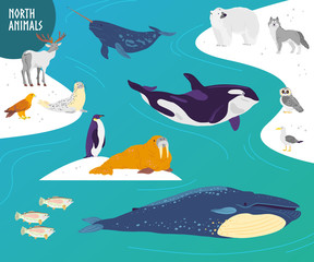 Vector flat hand drawn set of north animals, birds, fish: polar bear, owl, whale, penguin. Northern landscape with snow and water. For banner, zoo illustration, logo, card, children alphabet, print.