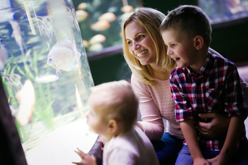 Wall Mural - Happy family looking at fish tank at the aquarium