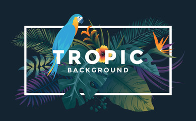 Tropical background with jungle plants. Frame with tropic bird and leaves, can be used as Exotic wallpaper, Greeting card, poster, placard. Vector Illustration