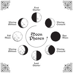 Wall Mural - antique style hand drawn line art and dot work moon phases circle. boho poster, tattoo, altar veil o