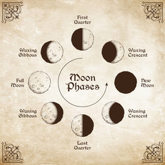Wall Mural - antique style hand drawn line art and dot work moon phases circle. boho poster, tattoo, altar veil o