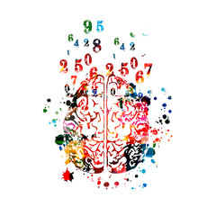 Colorful human brain with numbers isolated vector illustration design