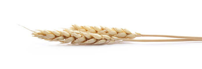 Wall Mural - Dry wheat ears, grain isolated on white background