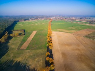 Wall Mural - Country road with colorful maple trees through the hilly terrain during the autumn season, Pozezdrze town in the background, Mazury, Poland