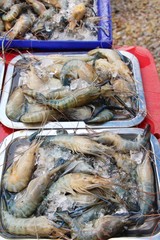 Wall Mural - Fresh shrimp for cooking at street food