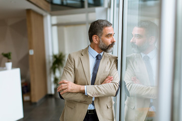 Wall Mural - Portrait of senior businessman by the window