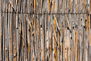  Texture of the fence of reeds close-up.