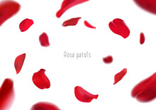 3d Realistic Isolated Red Rose Petals Circling In A Whirlwind