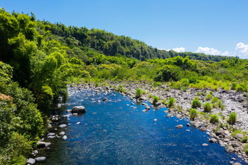 Wall Mural - rivière