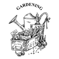 Gardening. Box with packages of seeds, bulbs, watering and pot with flower. Sketch. Engraving style. Vector illustration.