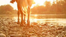 LOW ANGLE: Unrecognizable Person Riding A Horse Along The Riverbank At Sunset.