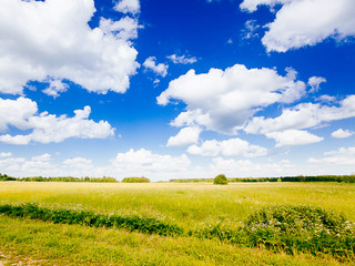 Spring summer background - rural road in green grass field meadow scenery lanscape with blue sky