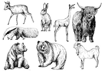 Set of hand drawn sketch style animals isolated on white background. Vector illustration.