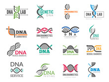 Dna Logotype. Business Identity With Science Biotech Symbols Pharmaceutical Bio Icons. Logo Dna Identity Molecule, Medical Company Illustration
