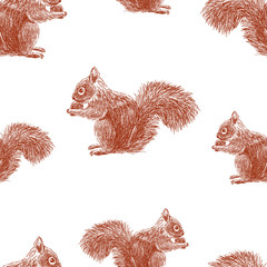 Wall Mural - Seamless pattern of squirrels sketches