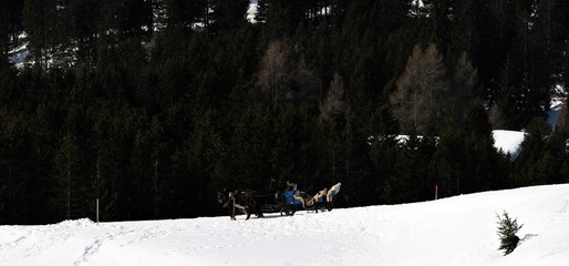 Poster - grisons....calèche