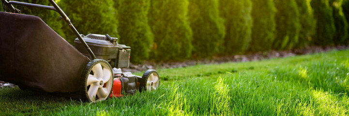 Wall Mural - Lawn mower cutting green grass