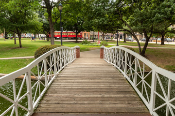  bridge in park