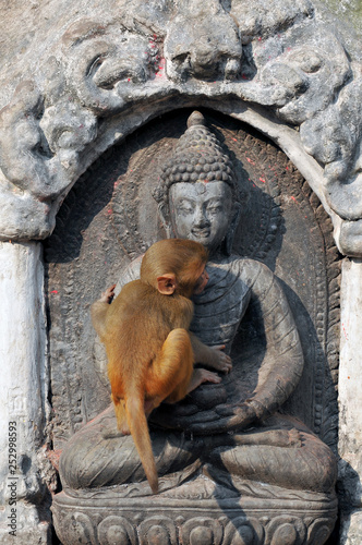 Nepal, Kathmandu, Swayambhunath stupa, Monkey Temple. Canvas Print