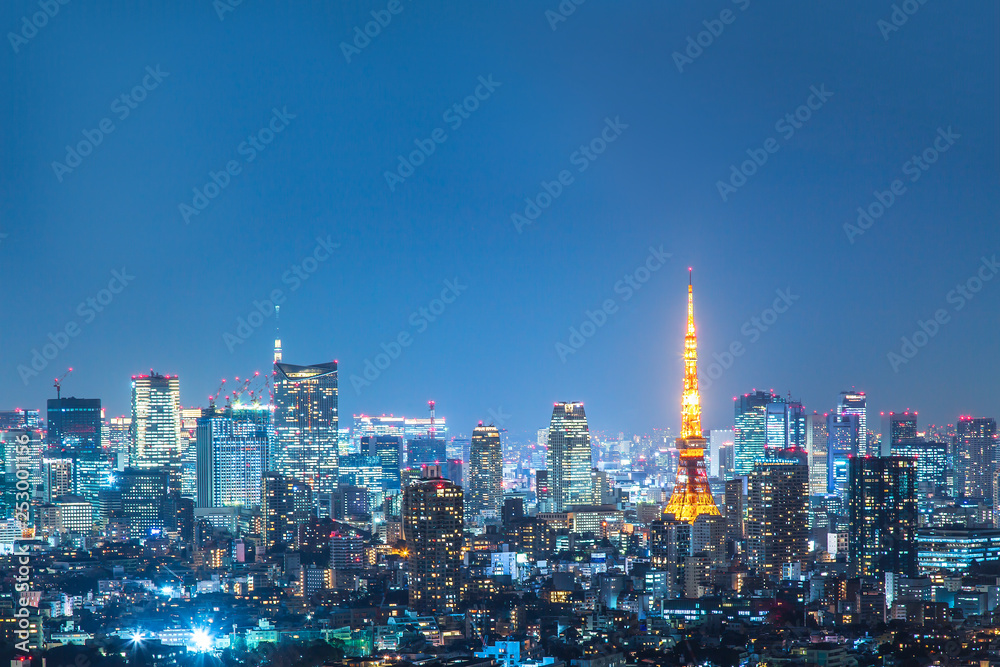 東京タワーと六本木 赤坂方面の夜景 高層ビル 都会 夜 ビル 首都イメージ 3d Obrazy Na Plotnie Ecowall24 Pl