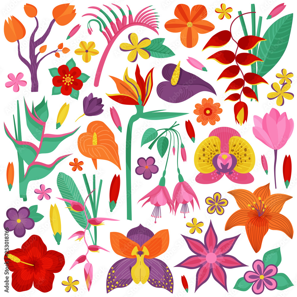 Tropical rainforest flower set. Cartoon exotic flowers and floral branches  with leaves. Botanical illustration with exotic plants, wildflowers, brazil  tropic botany, Hawaiian paradise plant elements. Stock Vector | Adobe Stock, image size:1000x1000