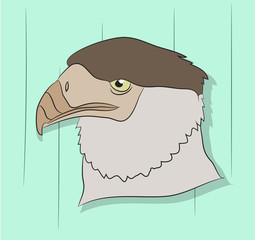 Wall Mural - vector illustration of a portrait of an eagle, drawing color