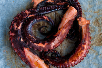 Top view over grilled octopus tentacles. Concept image of seafood on baking paper.