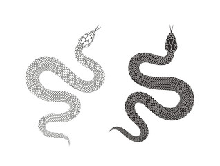 Wall Mural - Snake logo. Isolated snake on white background