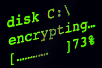 Poster - Computer screen with hard disk encryption in progress.