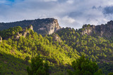 Fototapeta  - Landscape of the Sierra de las Nieves Natural Park in Malaga, Spain