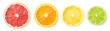 Leinwandbild Motiv Citrus fruit slices isolated on white background