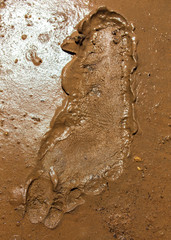 Poster - Human footprint on clay soil as a background