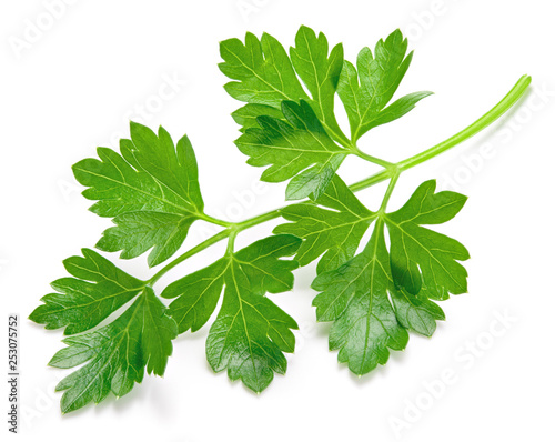 Fotografía Parsley. Parsley isolated.