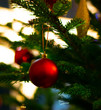 Red hanging Christmas decoration on fir Christmas tree with light in background