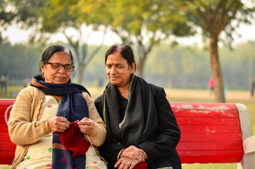 Wall Mural - Two senior Indian women discussing how to knit sweaters and smiling in a park in winters in Delhi, India