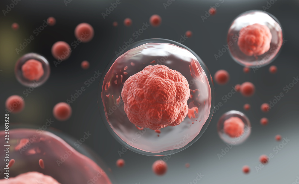 3d rendering of Human cell or Embryonic stem cell microscope background. - obrazy, fototapety, plakaty 