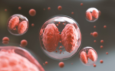 Wall Mural - 3d rendering of white blood human cell or embryonic stem cell microscope background.