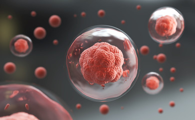 Wall Mural - 3d rendering of human cell or embryonic stem cell microscope background.
