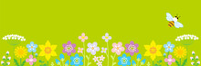 Lined Up Colorful Wildflowers And Honey Bee, Header Ratio - Green Color Background
