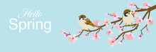Two Small Birds Perch On Cherry Blossom Branch, Including Words “Hello Spring" -House Sparrow, Header Ratio