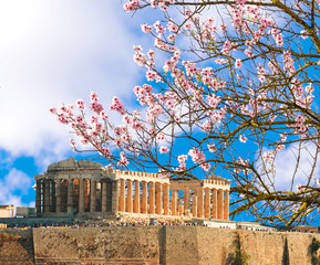Fototapete - Parthenon spring season almond's flrowers Acropolis in Athens