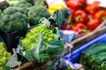 cabbage green leaf in bunches, winter vegetable, on sale at local famer's market, typical of Tuscany