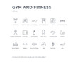 © CoolVectorStock - simple set of gym and fitness vector line icons. contains such icons as abs, anatomy, arm, athletic strap, barbell, bench press, biceps, bodybuilder, bosu ball and more. editable pixel perfect.