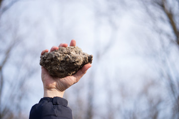 stone in man's hand