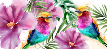 Colorful Birds And Flowers Watercolor Vector. Tropic Card Backgrounds