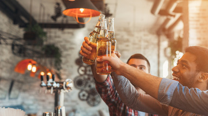 Friends celebrating meeting, clinking bottles of beer