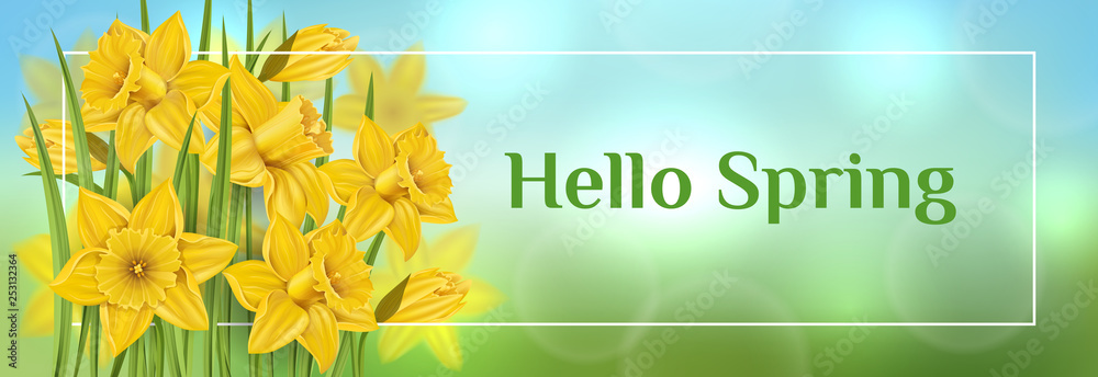Horizontal spring banner with yellow daffodil flower and green leaf in grass. Vector illustration for spring and Easter, nature desgin template with border - obrazy, fototapety, plakaty 