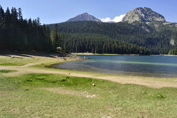 Wall Mural - Black Lake in Durmitor Mountain, Montenegro