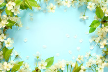Beautiful Spring Nature Background With Lovely Blossom, Petal A On Turquoise Blue Background , Top View, Frame. Springtime Concept.