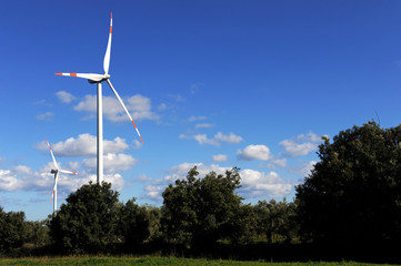 Wall Mural - Wind turbines in an eolic park